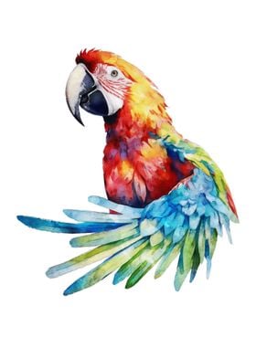 Scarlet Macaw Watercolor