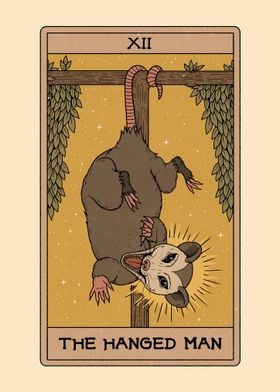 The Hanged Possum