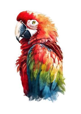 Scarlet Macaw Watercolor