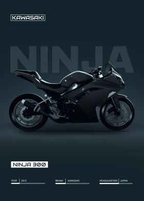 Kawasaki Ninja 300