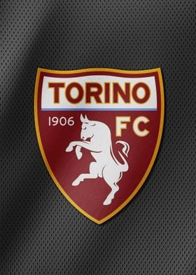 Torino Football