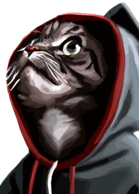 Hoodie Cat