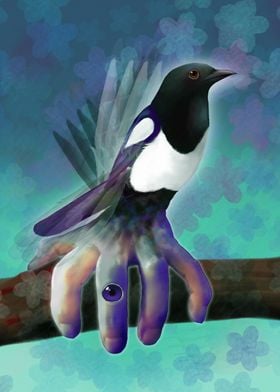 The handy magpie