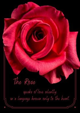 The Rose