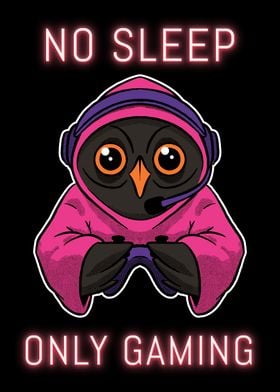 Gamer Owl No Sleep