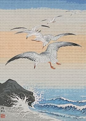 Seagulls Above Turbulent