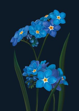 Blue Forgetmenots Flowers