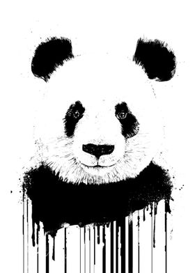 panda