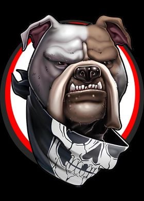 Bulldog