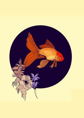 Japanese Goldfish