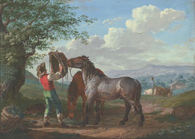 Two horses in the field