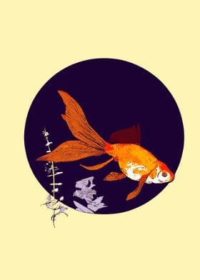 Japanese Goldfish