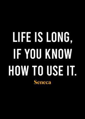 Seneca Quote 