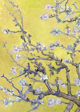 Almond Blossoms van gogh Y