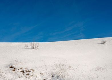 Lots of snow 