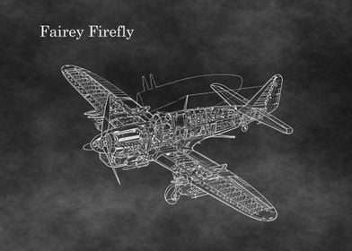 Fairey Firefly 