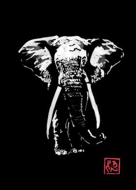 elephant in dark