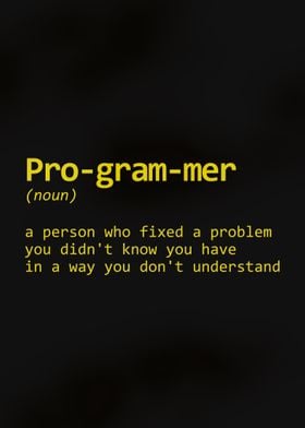 Programmer is