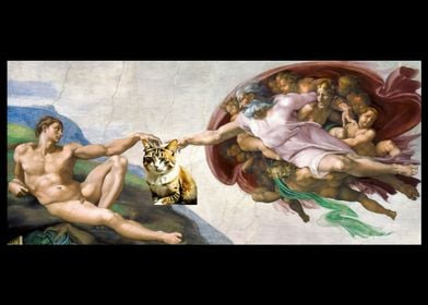 Michelangelo Cat Funny