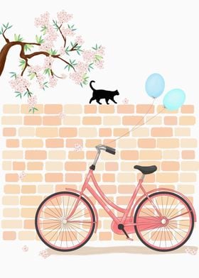 Summer Byicycle Cat