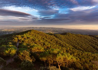 Catalonia golden hour 1