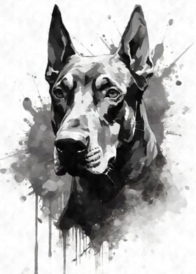 Doberman Pinscher Portrait