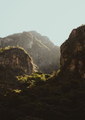 Peruvian jungle