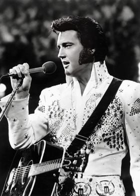 Elvis On Stage-preview-3