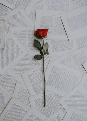 Red Roses paper Aesthetic