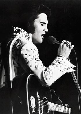 Elvis On Stage-preview-2