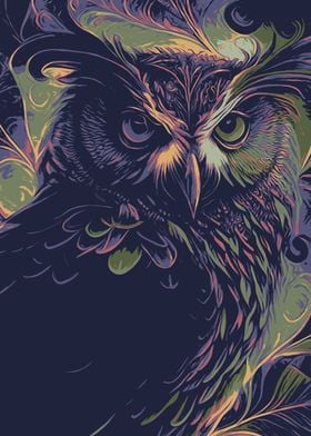 Owl Illustration