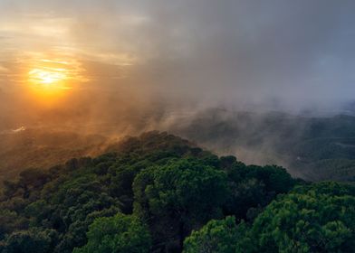 A sunset over the forest