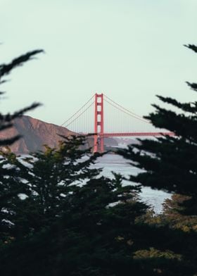 Golden Gate and trees