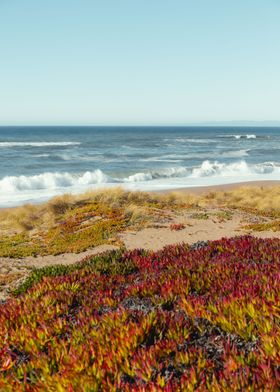 Point Reyes beach