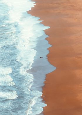 Point Reyes and bird