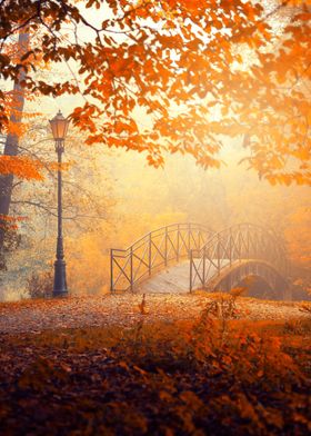 Autumn path, foggy park