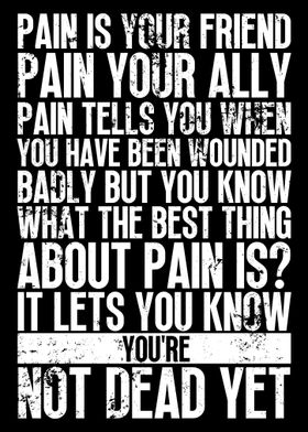 Samurai Quotes Pain