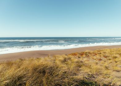 Point Reyes beach