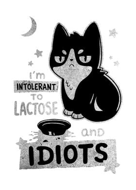 cat idiots