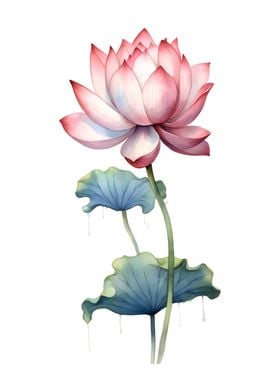 Lotus flower art