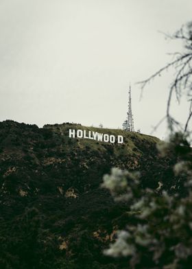 The Hollywood sign