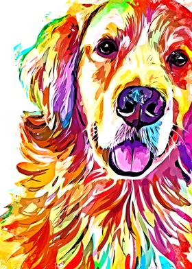 Golden Retriever