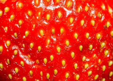 Red strawberry macro photo