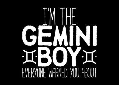 Gemini Boy Warning Zodiac