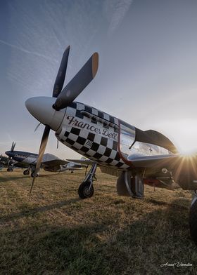 Collection Mustang