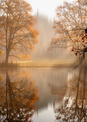 Autumn morning foggy park