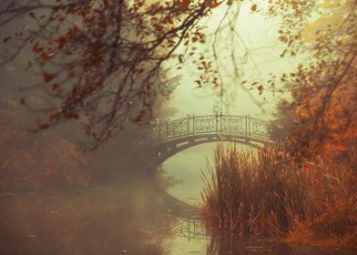 Autumn foggy lake in park