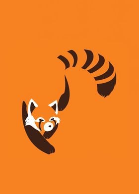 raccoon vector