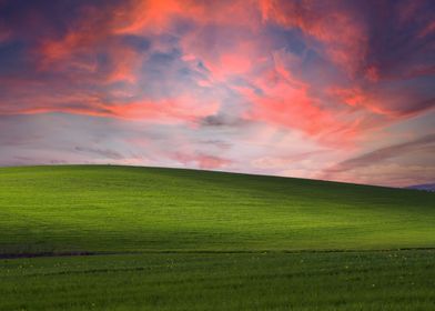 grassy hill afternoon 