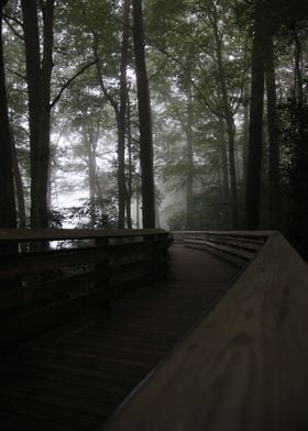 Foggy Morning Boardwalk